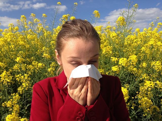 Understanding Pollen Pollution and Impact on Health in Mexico City