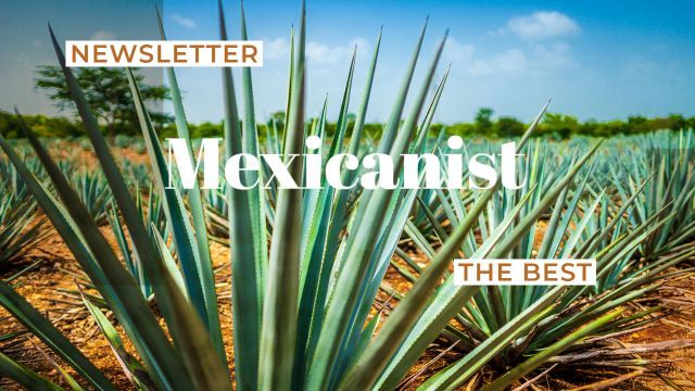 The Best of Mexicanist Newsletter Issue 5/2023