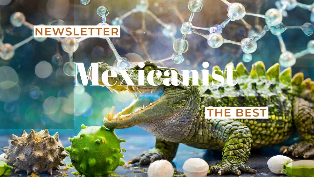 The Best of Mexicanist Newsletter This Week 3/2024
