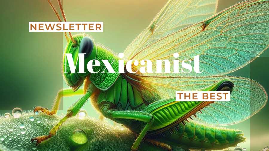 The Best of Mexicanist Newsletter 12/2024