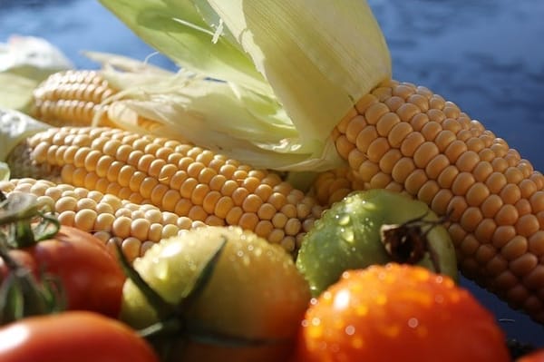 One of the basic elements of indigenous cuisine is corn.