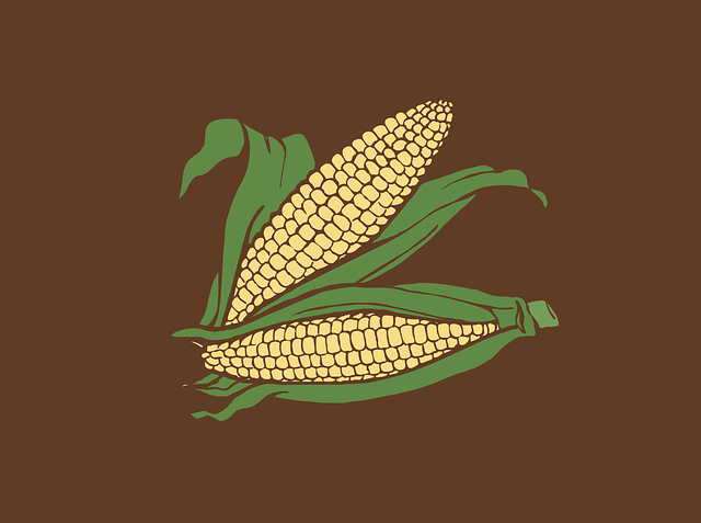 The great Mexican invention for the world, corn.