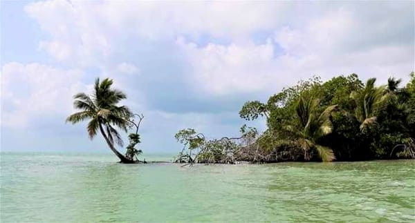 Chetumal Bay, a paradise to take care of.