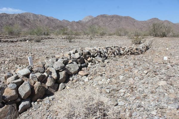 In Baja California ejidatarios combat desertification in the Sierra Cucapá.