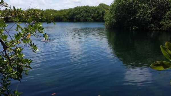 After saving his daughter from the Encantado cenote in Tulum, a tourist drowns.