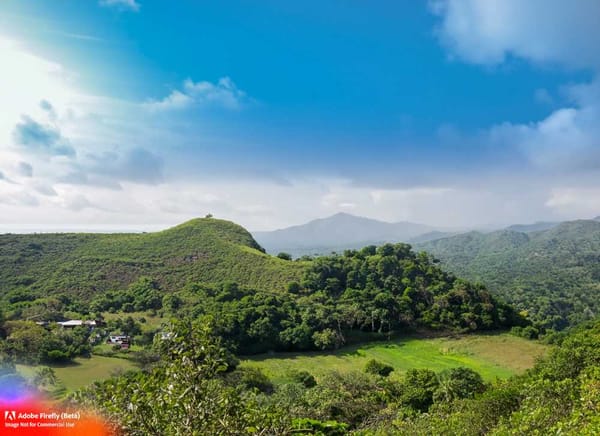 The lush landscapes of northern Veracruz primed for ecological tourism and real estate development.