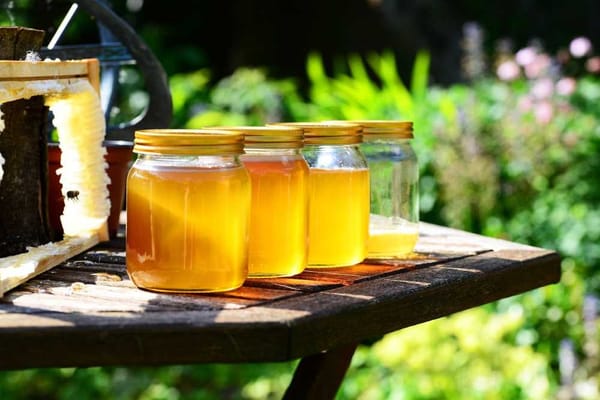 Jars of golden honey, each with its unique flavor profile shaped by the diverse local flora.