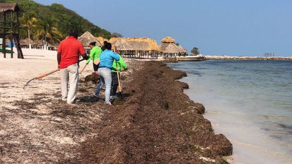Playa Bonita's dedicated team works tirelessly to restore the beach's pristine beauty.