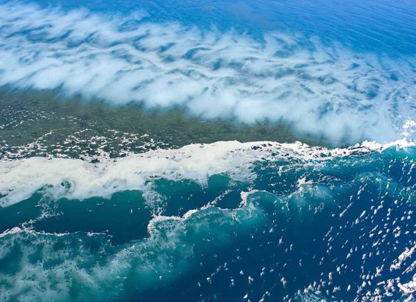 Tidal currents mix the deep blue waters of the Gulf of California, feeding the rich marine ecosystem below.