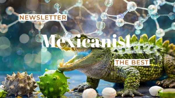From crocodile hotspots to molecular health wizards, explore Mexico's diverse wonders with the Best of Mexicanist.