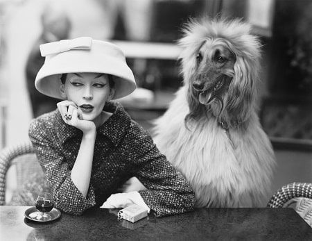 Model Dovima with Sacha the greyhound, dress and hat by Balenciaga.
