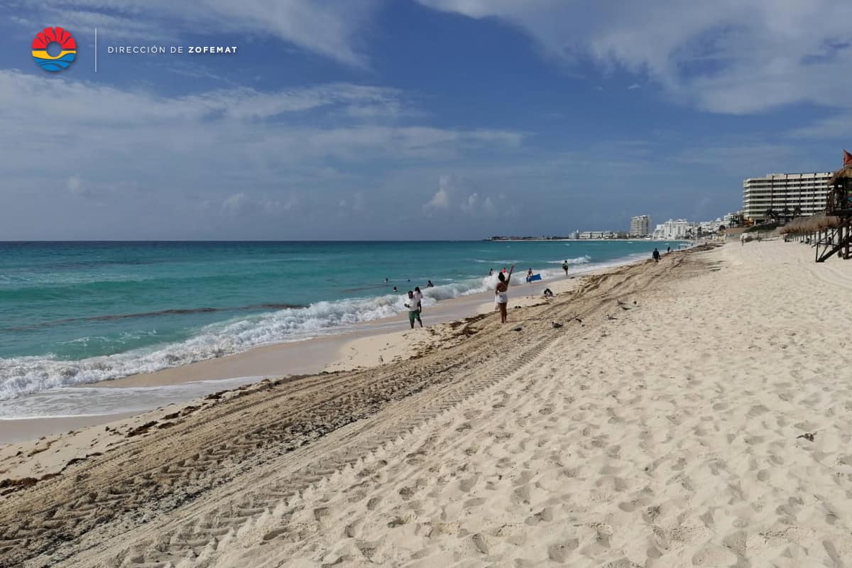 Cancun seaweed update, conditions, and forecast 2022 season