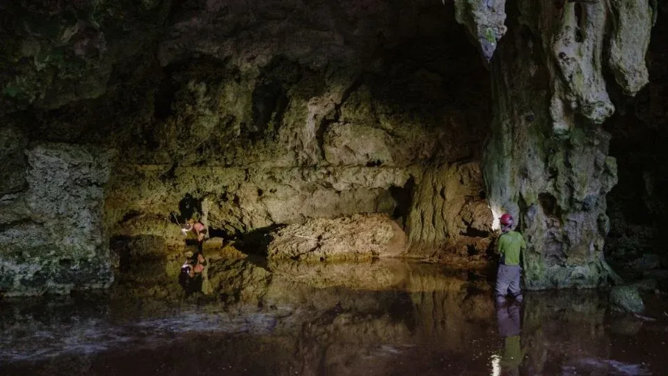 In the route of section 5 of the Mayan Train, experts have found cenotes.
