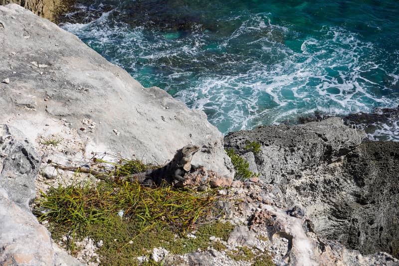 While crime in Quintana Roo might not be a concern for tourists, be careful on the rocky and steep shores.