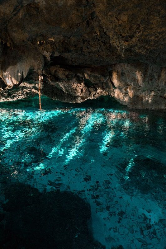 Cenotes in Cancun, an alternative to the beach in the face of sargasso.