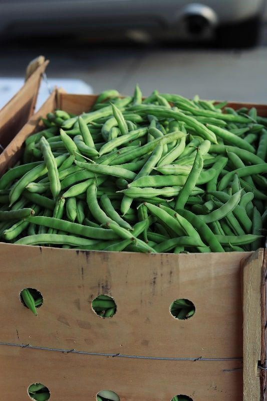 Green beans: an ancestral source of benefits