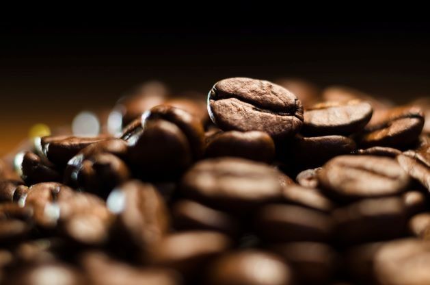 The Veracruz coffee originates from the Coffea arabica species.