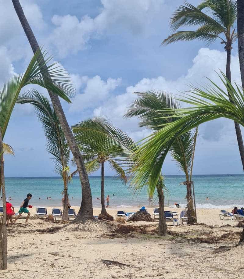 Riu Beach, after Fiona. Image by Gonzalo Rodriguez Caeiro posted at the Sargasso Monitoring Center in Bavaro - Punta Cana.