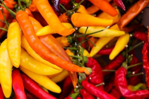 Chili peppers are an easy plant to cultivate indoors, and they may be kept there year-round.