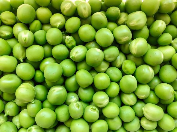 For what reasons do you recommend eating peas in their various preparations?