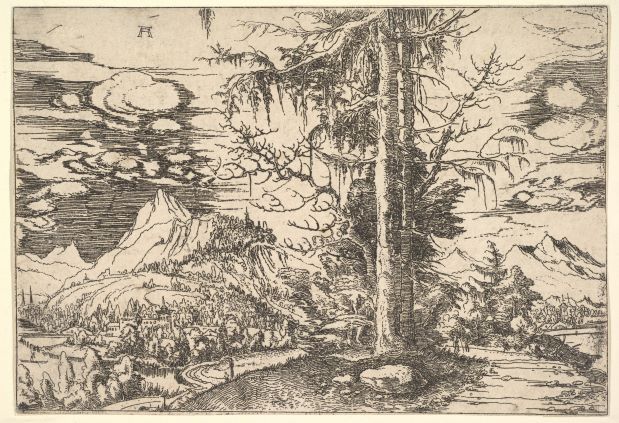 Landscape with a Double Spruce ca. 1521–22 by Albrecht Altdorfer.