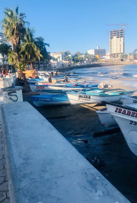 Exploring the vibrant streets of Mazatlan's fishing district, where fresh catches and local culture meet.