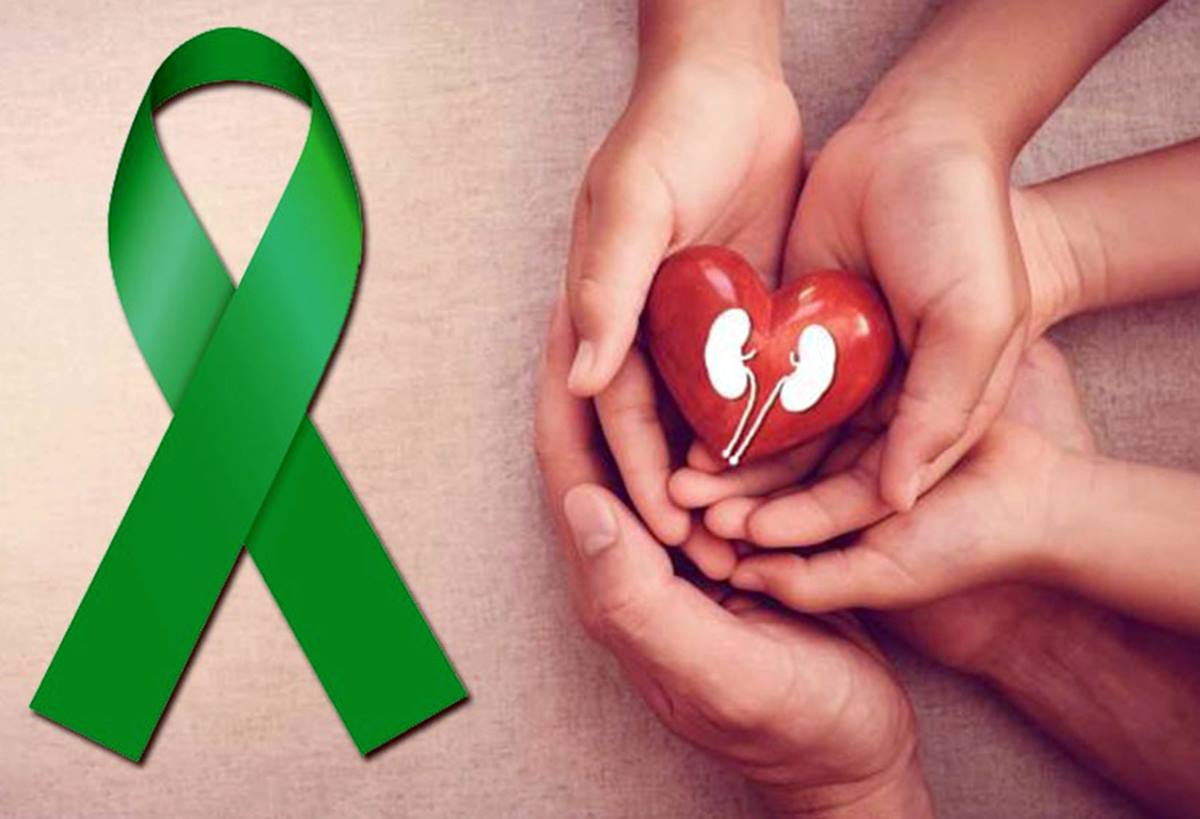 Solutions to increase the number of organ donations in Mexico.