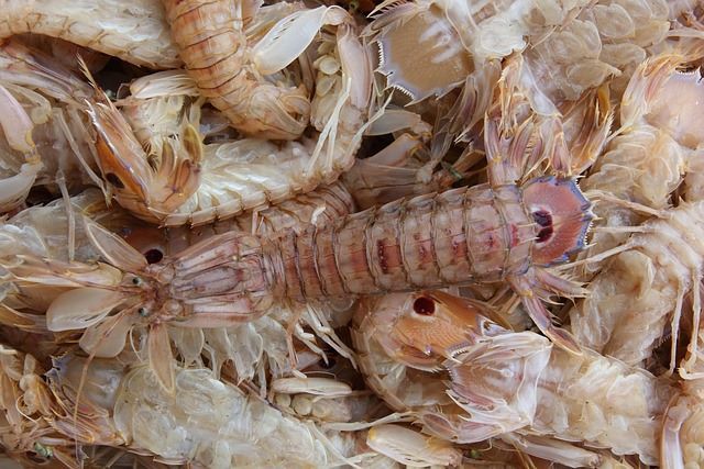 Ecological cosmeceuticals from shrimp waste bioactives.