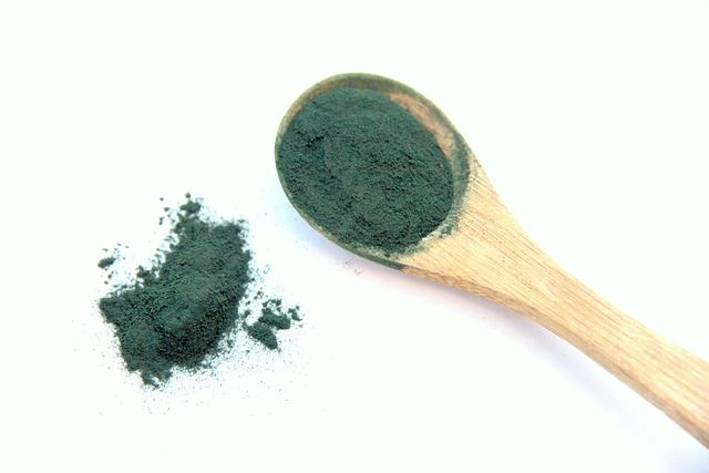 Close-up of spirulina algae, a nutrient-dense superfood with a long history of use and many health benefits.