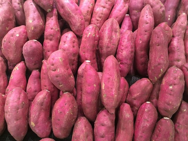 Sweet potato - a nutritional powerhouse and cultural icon enjoyed by cultures worldwide.