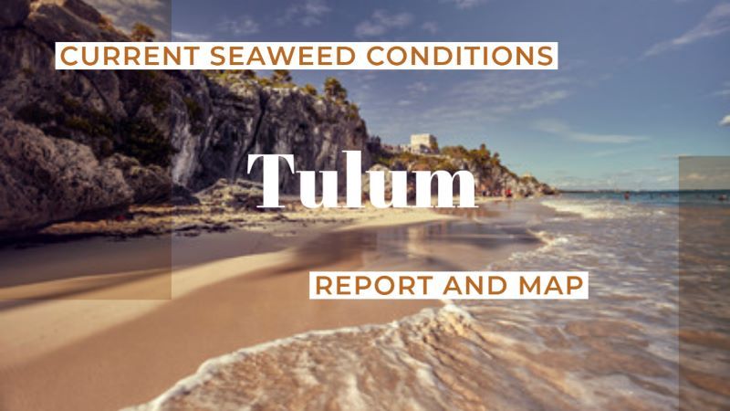 Tulum's turquoise waters still shine amidst the sargassum challenge.