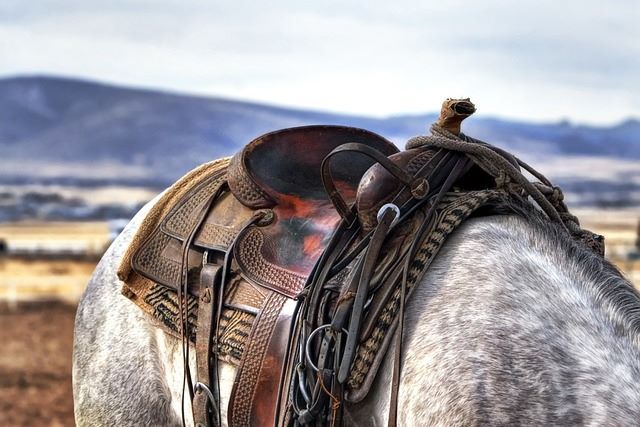 A beautifully crafted Western saddle, featuring intricate tooling.