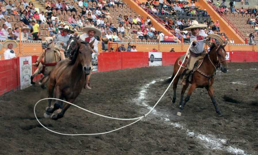             A charro showcases impressive horsemanship skills during a thrilling charrería event in Jalisco, Mexico.