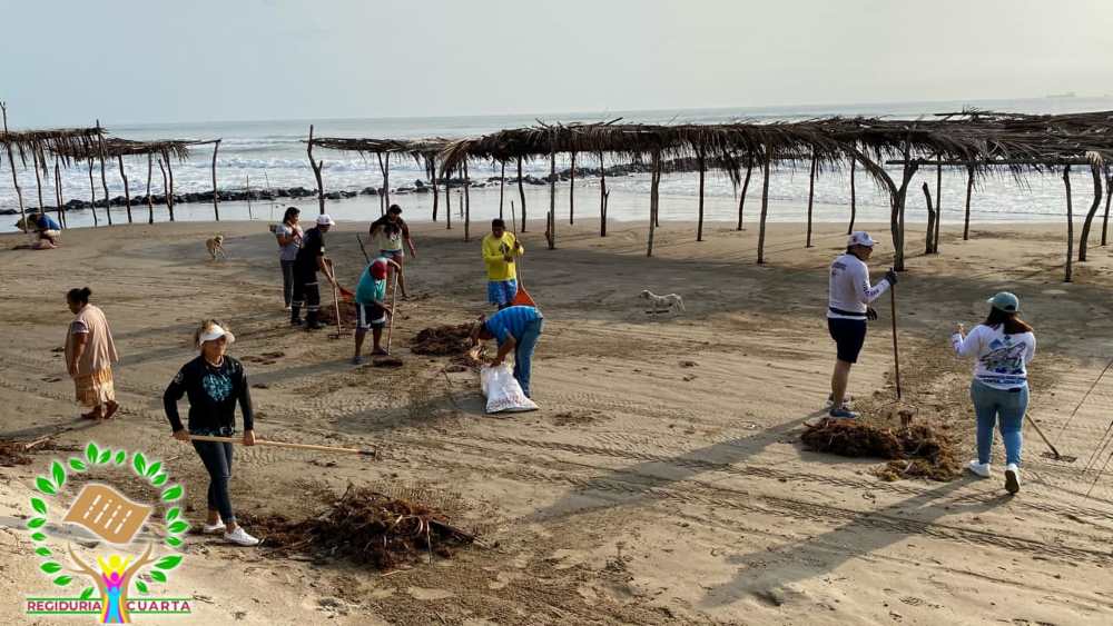 Volunteers from the community work together to manually remove sargassum seaweed from Tuxpan's beaches.