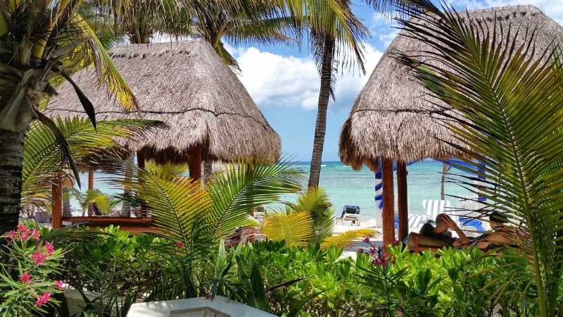 Palm-fringed paradise awaits at Mexico's beach resorts, offering sun, sand, and endless relaxation.