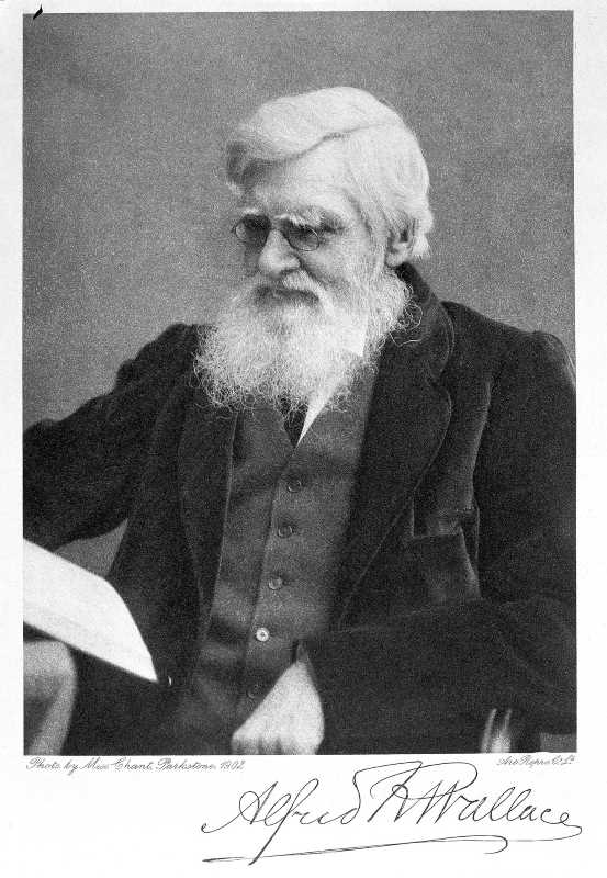 Alfred Russel Wallace, an explorer and naturalist.
