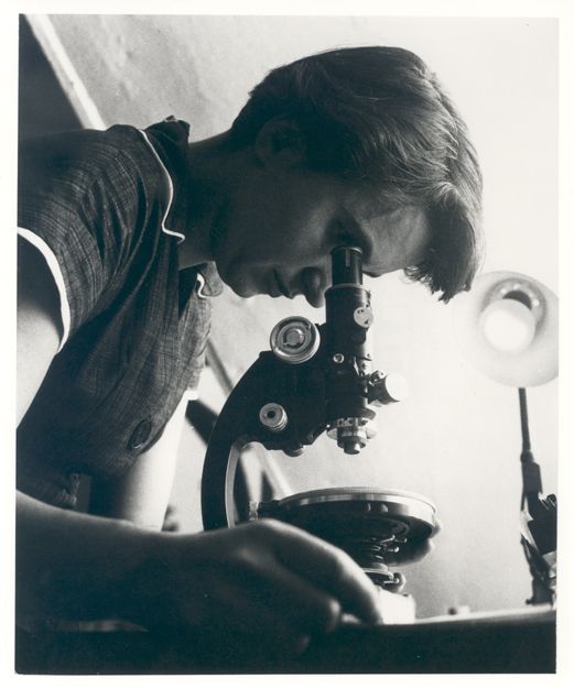 Rosalind Franklin at her lab setup, where she captured the groundbreaking 'Photograph 51'.