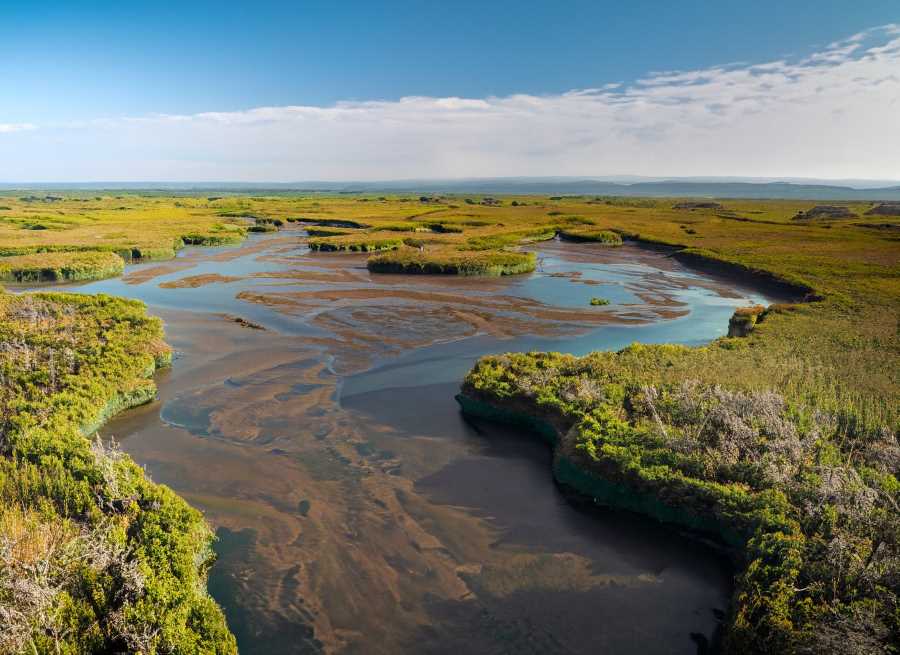 Tourists and researchers alike marvel at the pristine coastal wetlands.