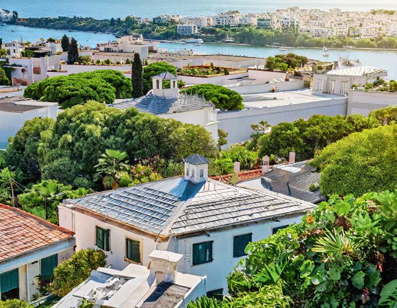 Cool roofs and lush greenery combat the scorching grip of urban heat islands.