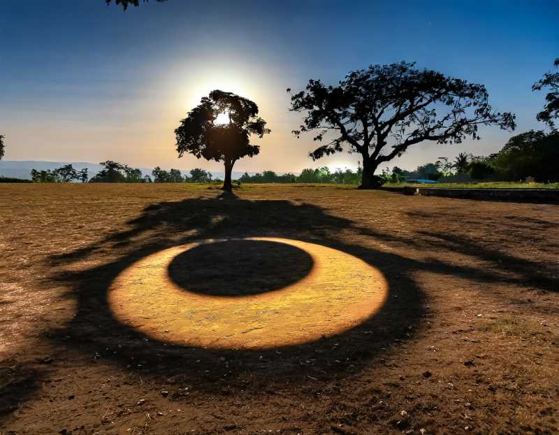 Tree shadows create a solar eclipse replica on the ground, a safe way to marvel at the sky.