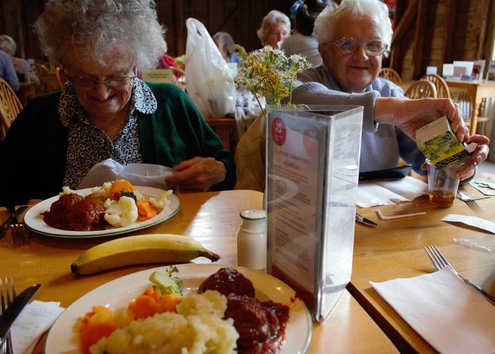 A group of active elderly individuals enjoying a balanced meal to maintain their vitality.